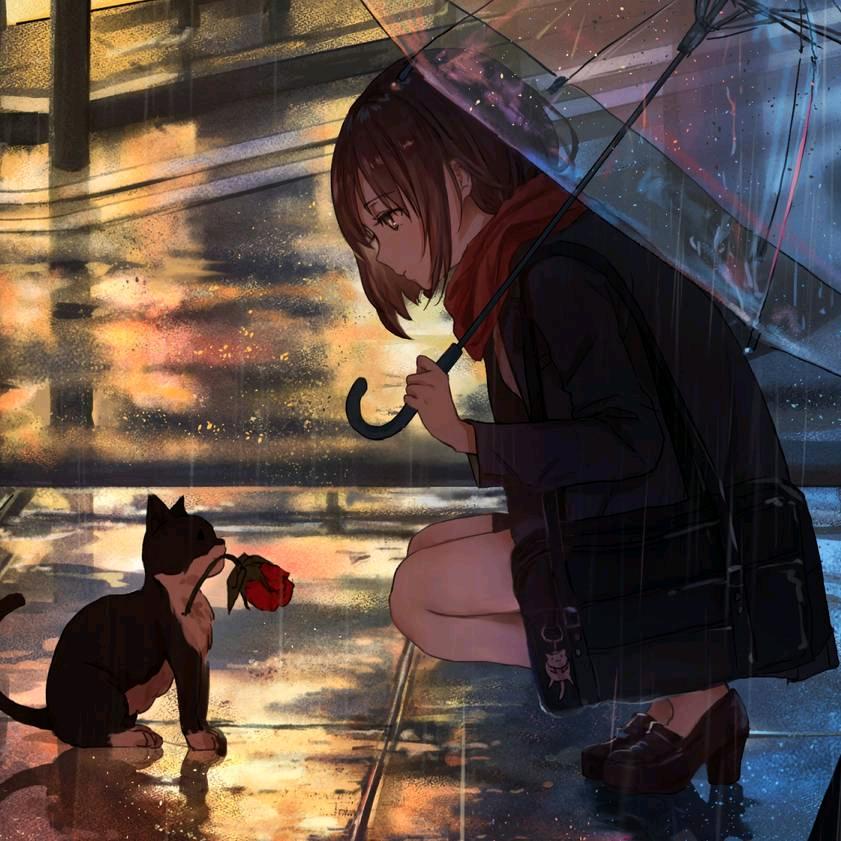不搭