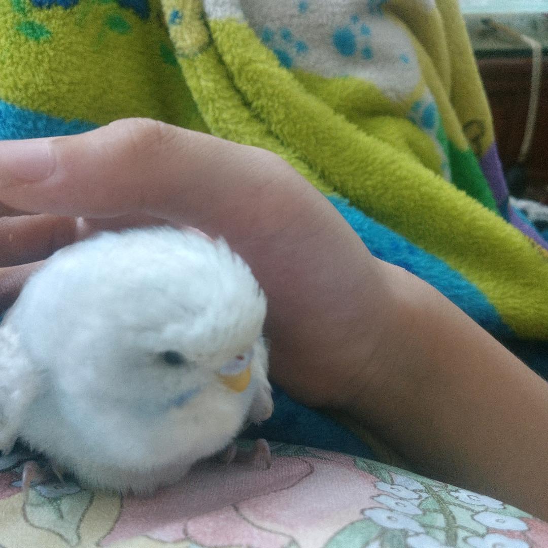 逃出惊魂夜小宝(冲200粉丝)