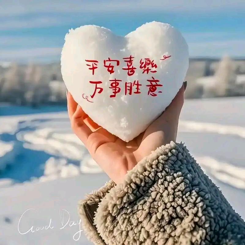 ♥️是森森呀！