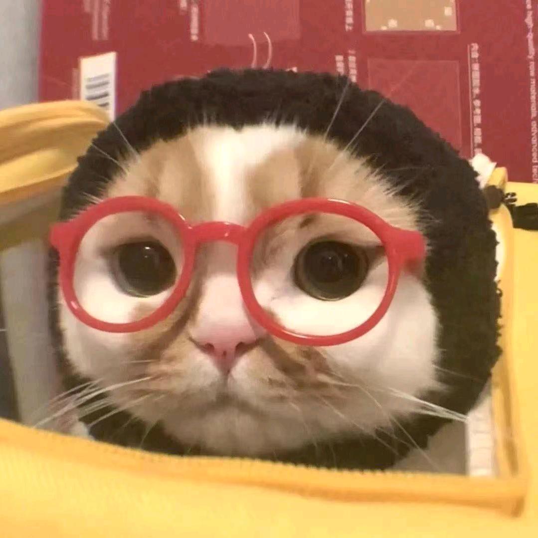 给你一驼子