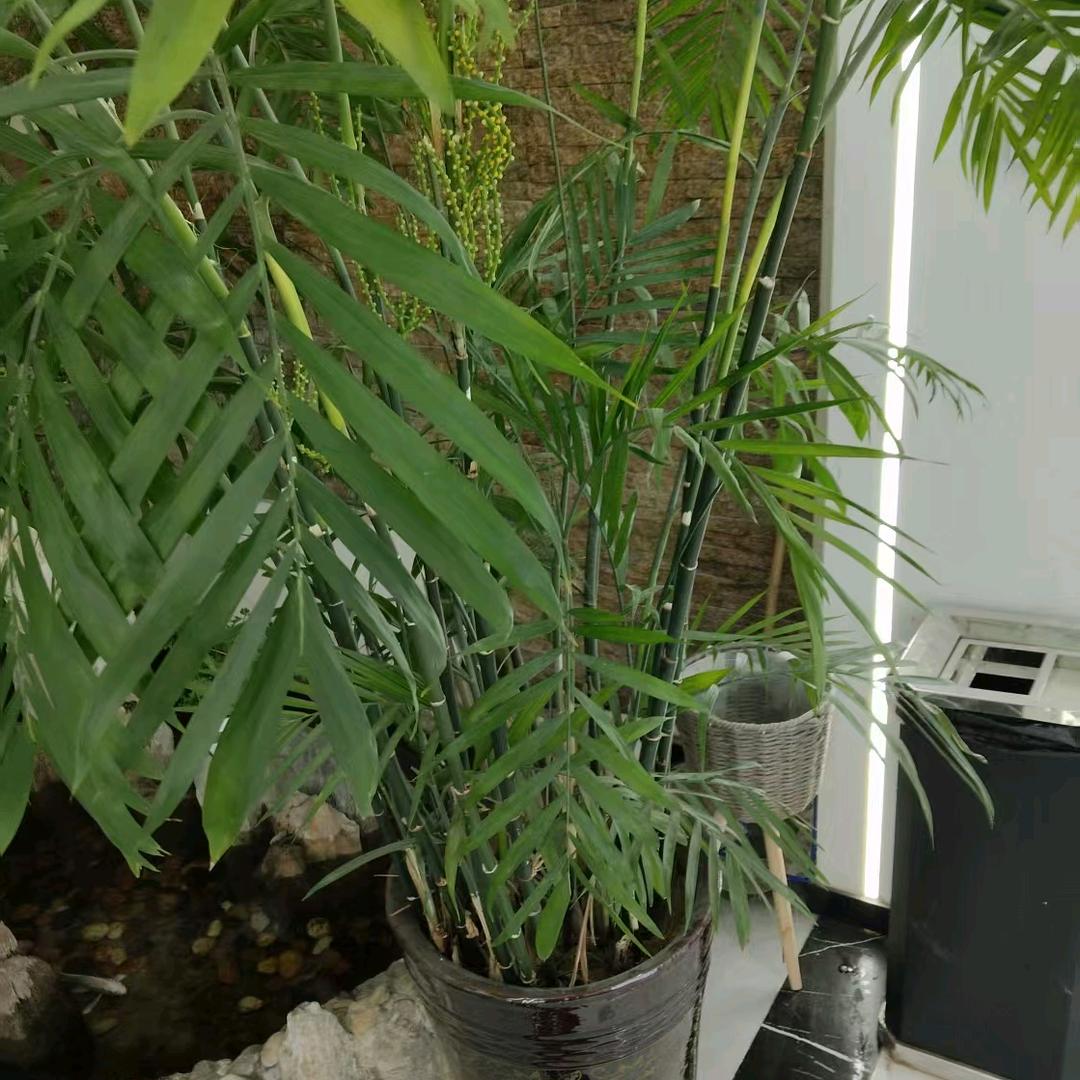 静心