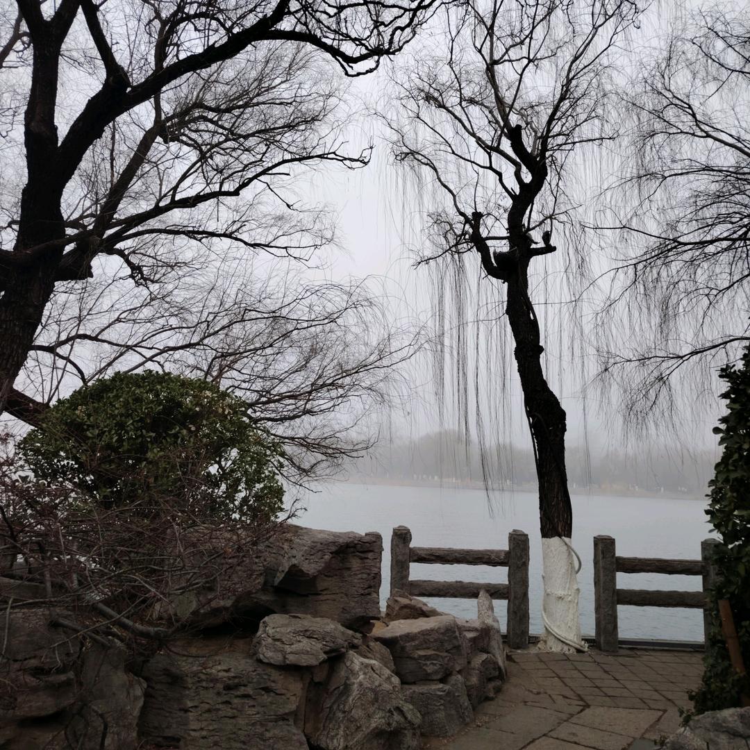 玩不明白小红薯