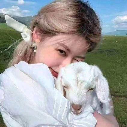 微雪 寒梅: