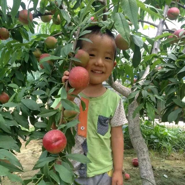 小河里的鹅卵石