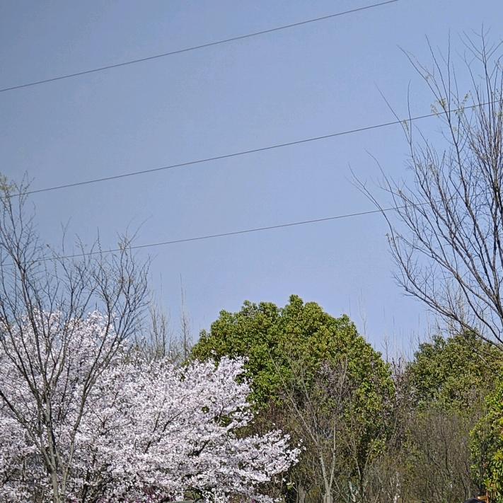 可乐可口🌈ο▬▬▬◙▅▆▇◤