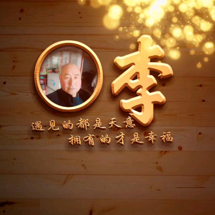 光头哥
