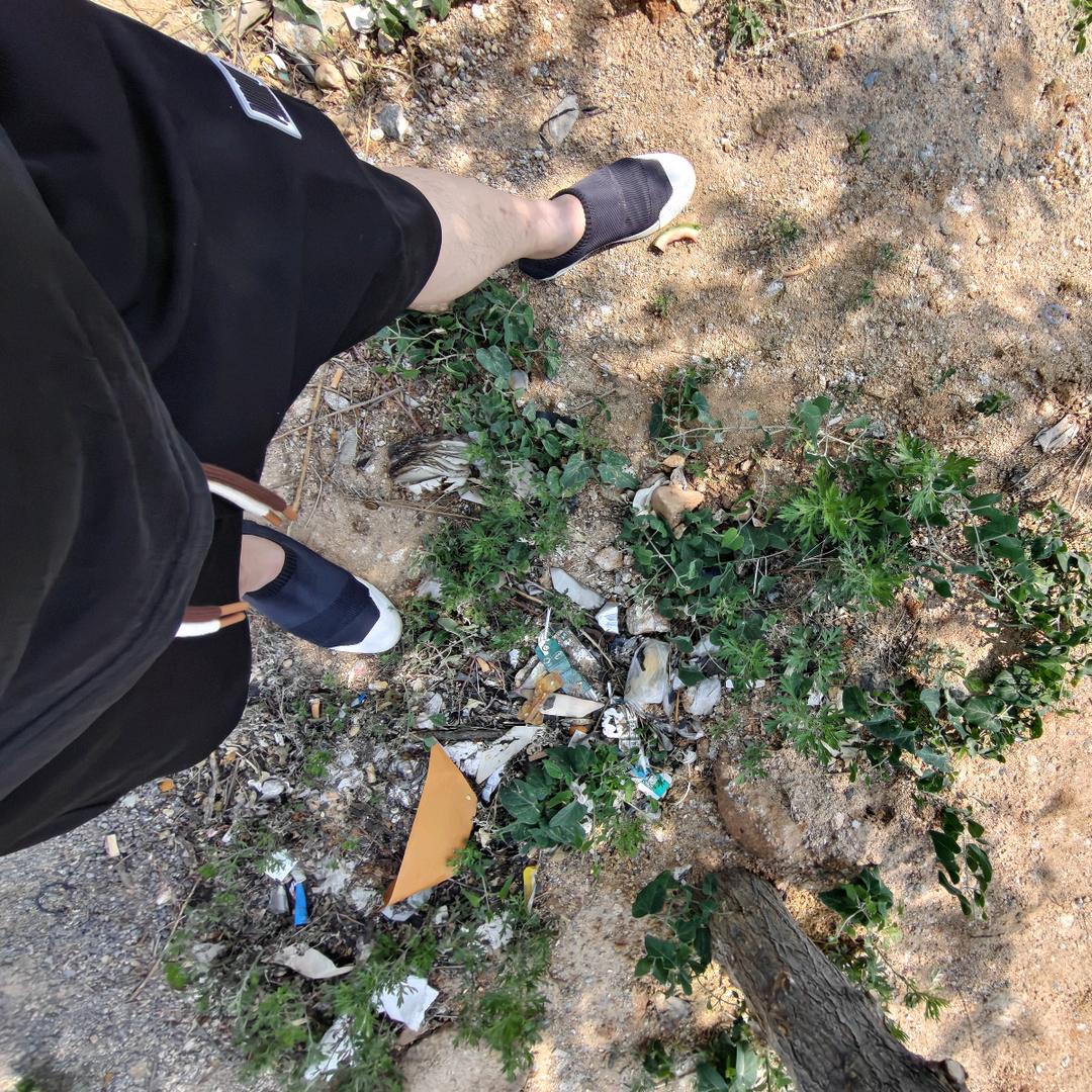 大雨滂沱。不曾带得伞来