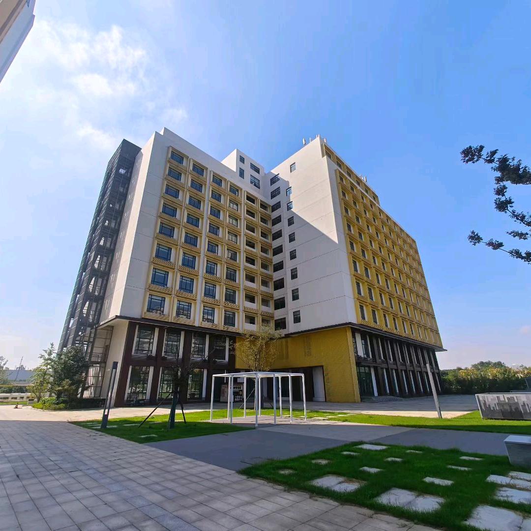 空非智慧里mario