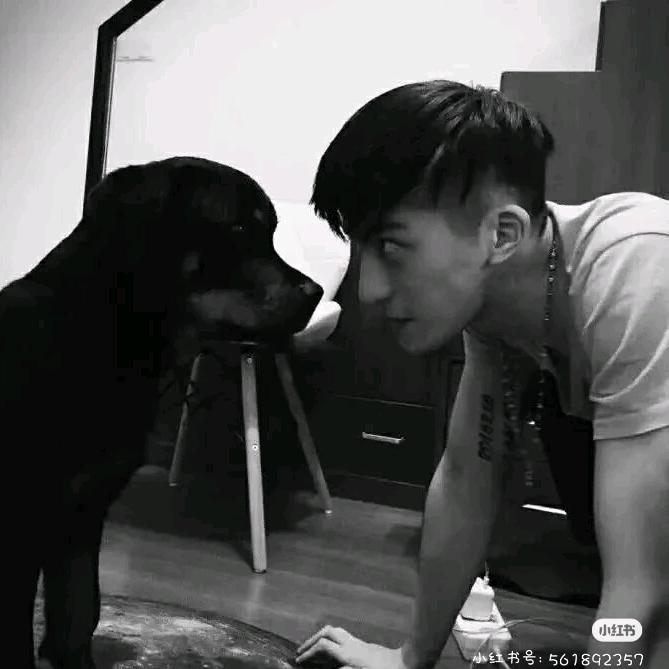 锦年