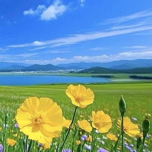 遨游天下