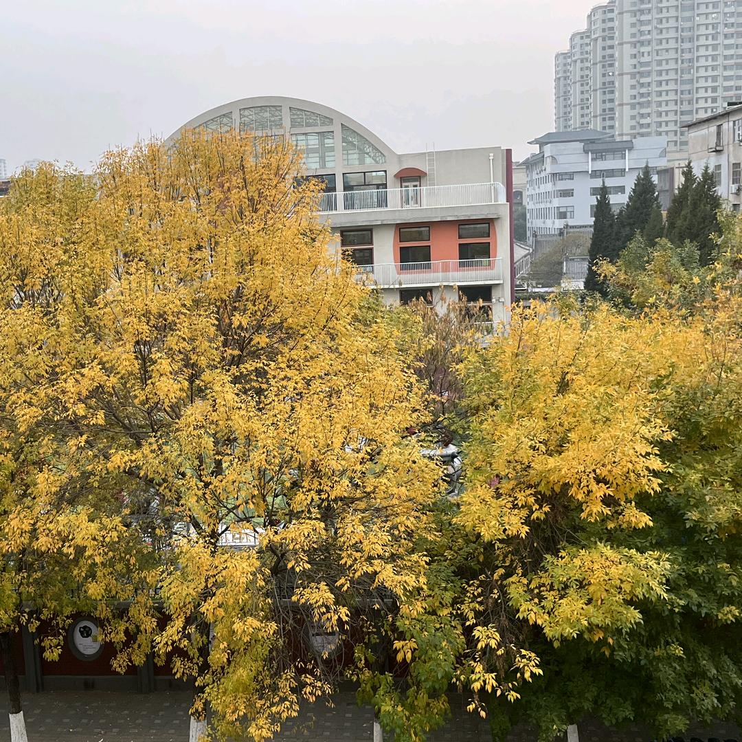 和你有鸡毛关系