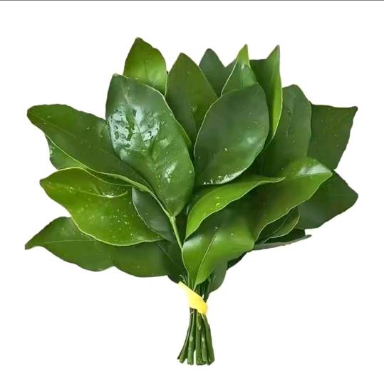 ✨iiiiiiiiiiiiii🌈