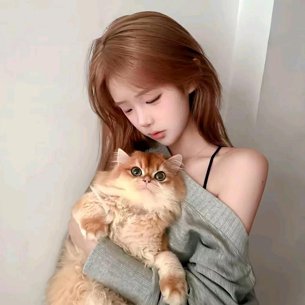壹碗粥