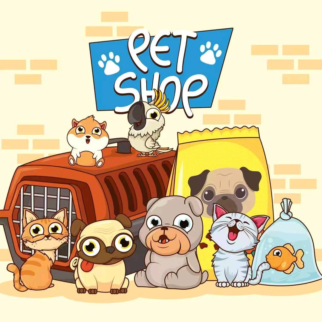 兰州金贝萌宠物猫猫