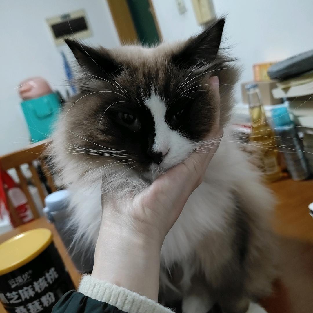 我的未来不是梦