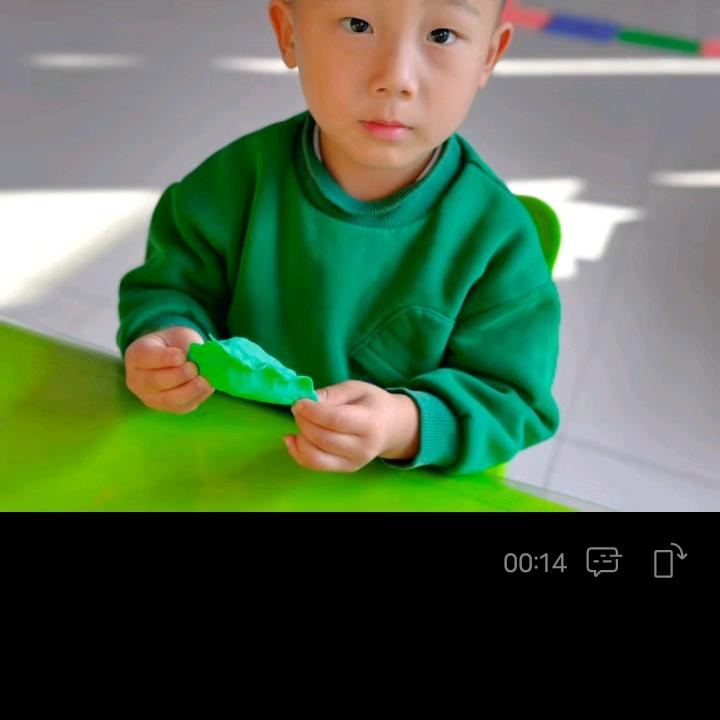 快骆每一天