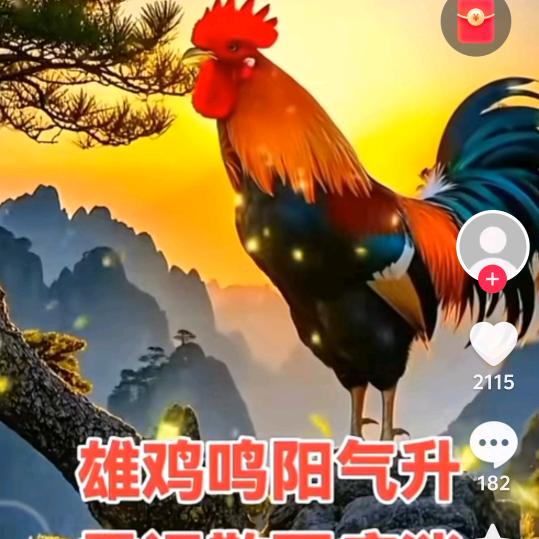 憨憨<<楊洪轩>>红白大事一条龙服务