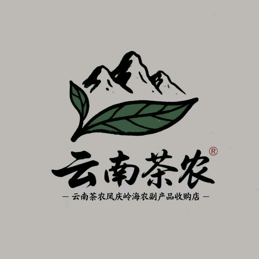 云南茶农