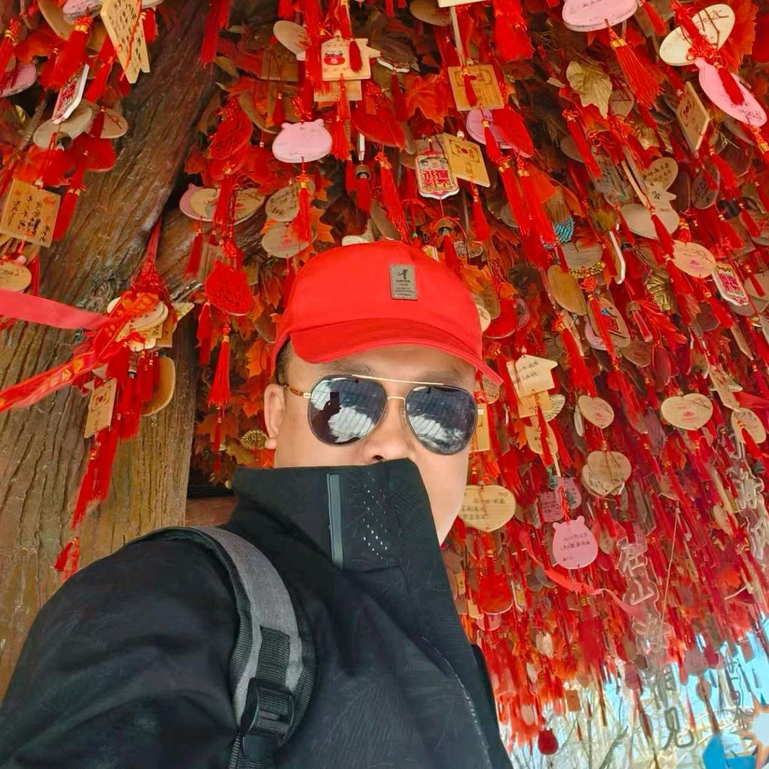 元芳 你怎么看