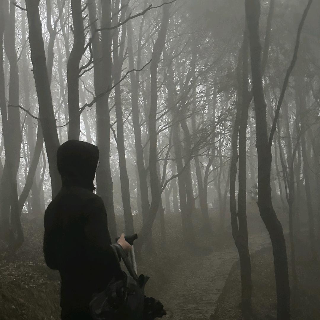 查无此人