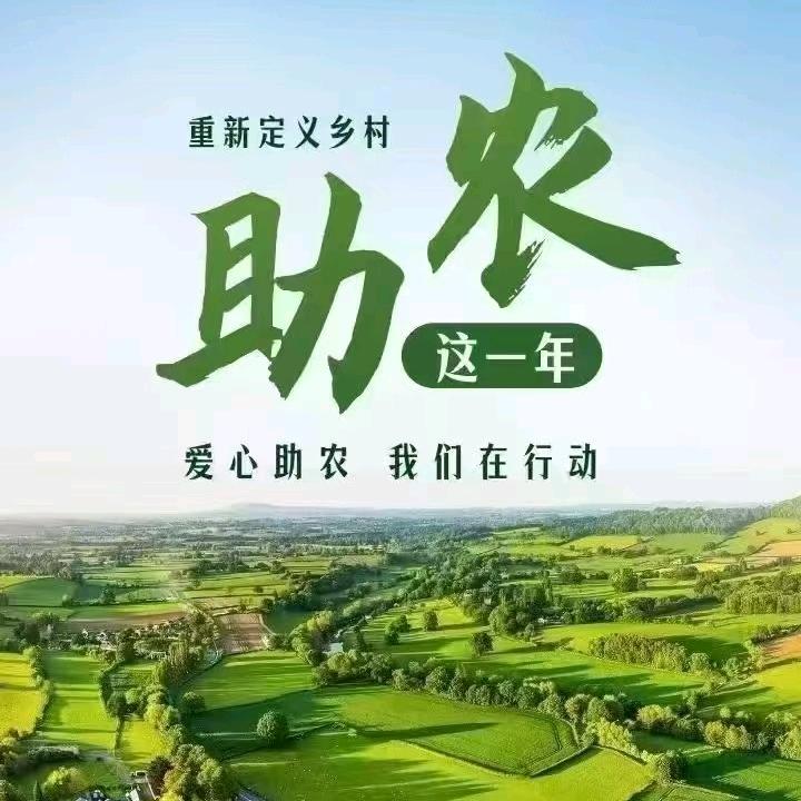 中医农业小梦