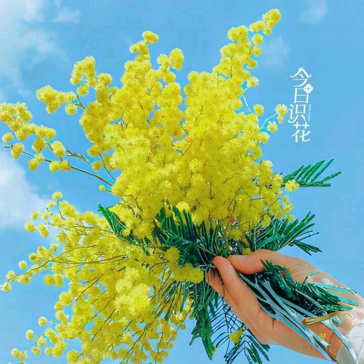 努力靠自己