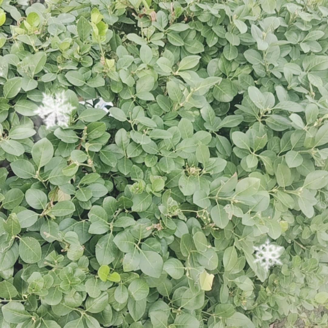鲜美家海鲜