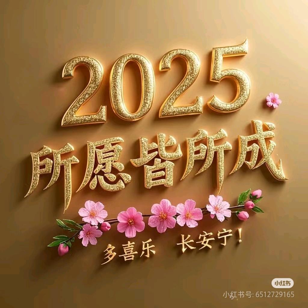 淘金者💰