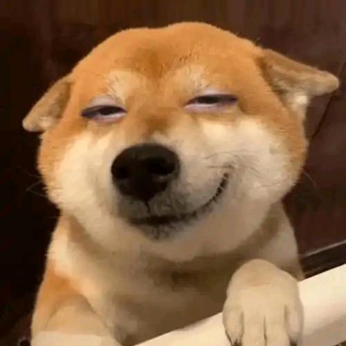 杉( ⸍ꔷ͈ᗄꔷ͈⸌)o彡