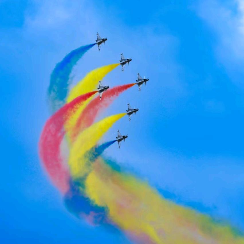 小驸马（银子是只猫）