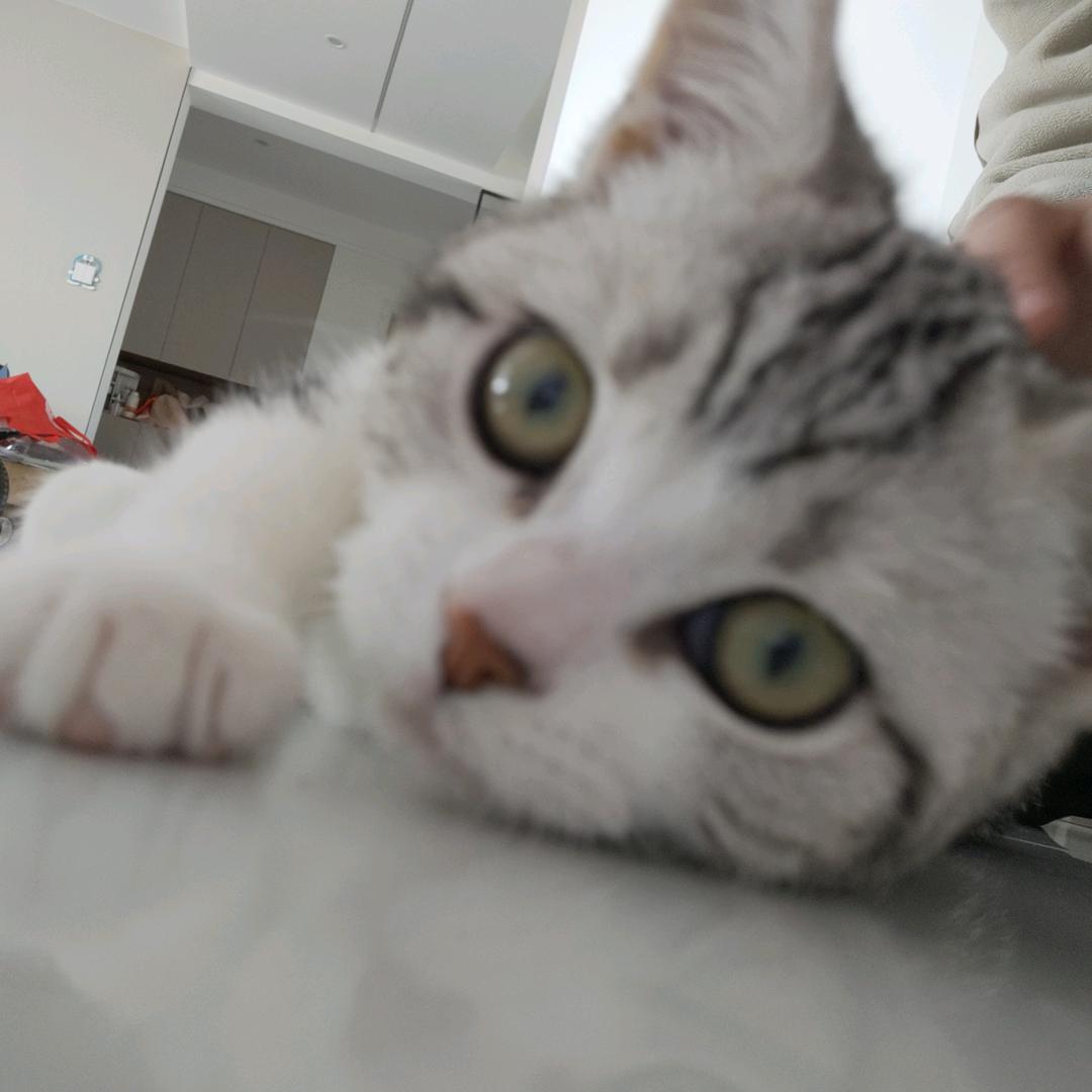 清鑫悦
