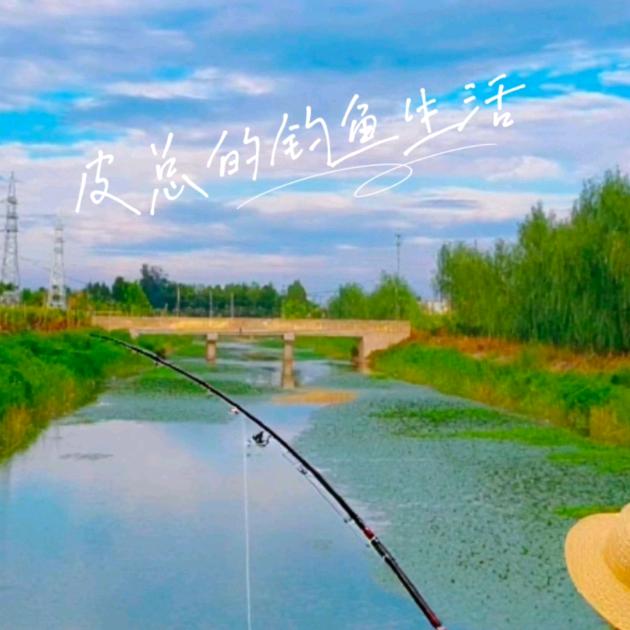 皮总的钓鱼生活🎣