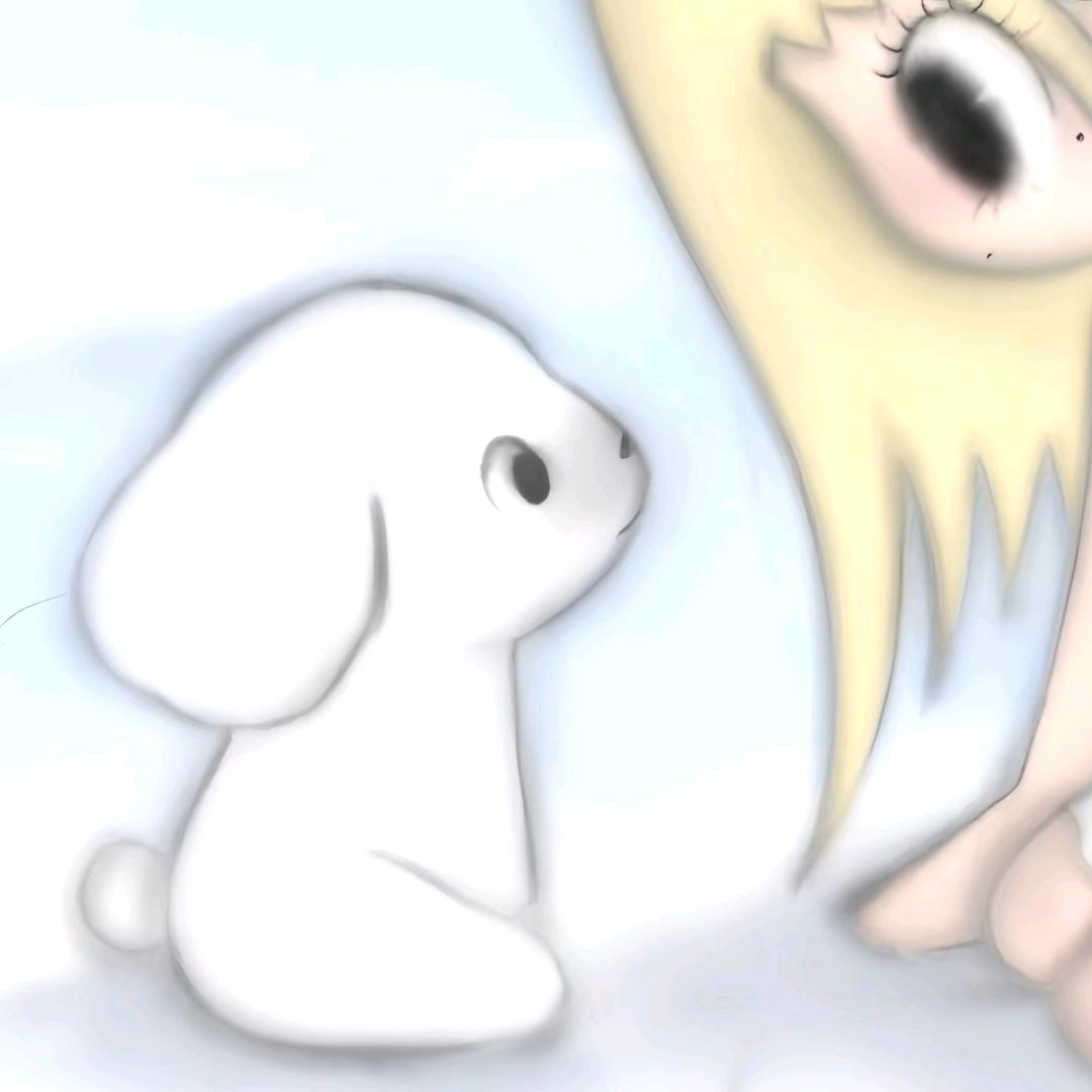 泽是澤