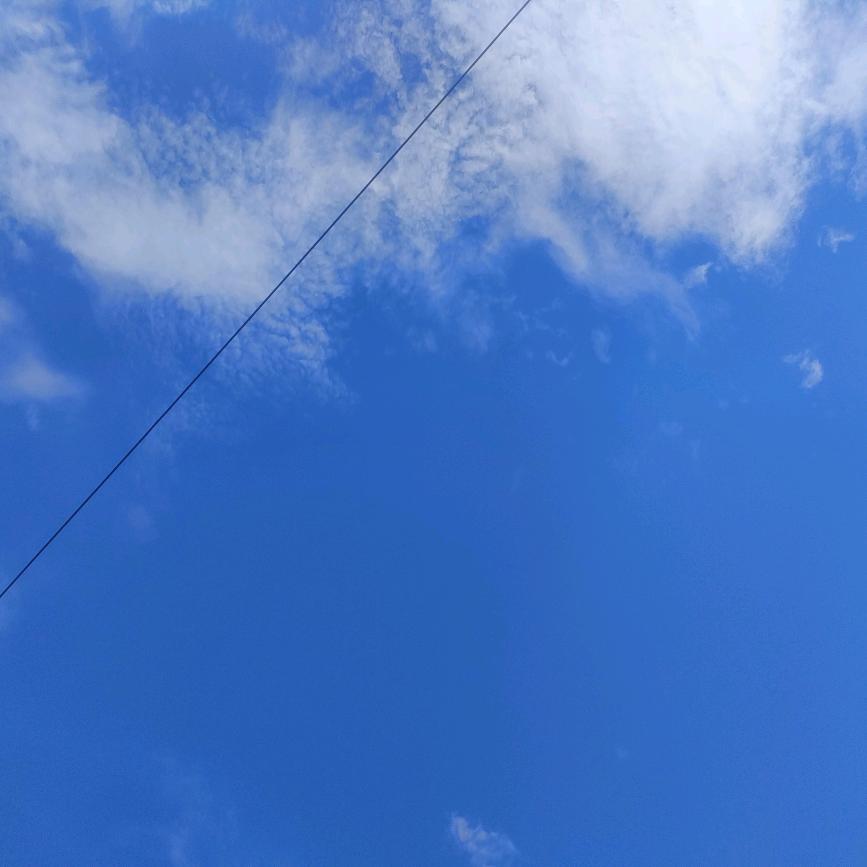 阳光