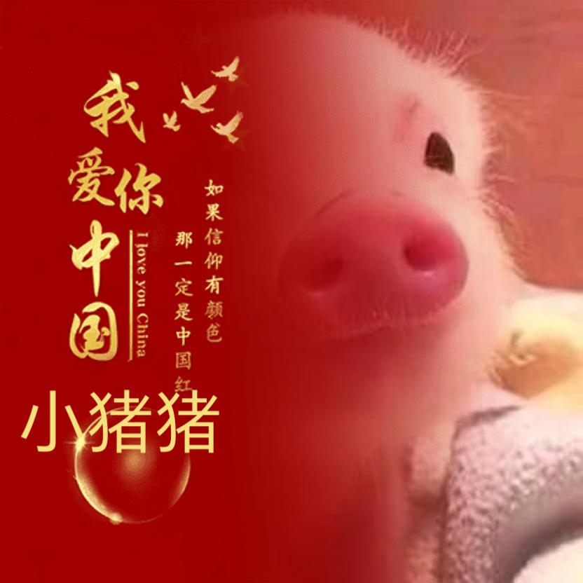 🐷🐷小猪猪🐷🐷