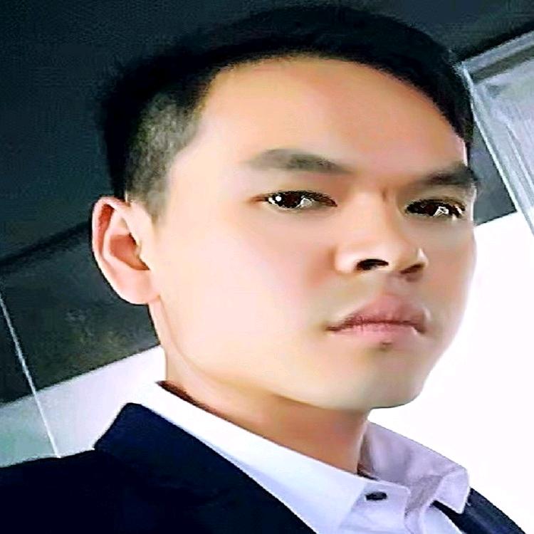 上栗凤凰装饰