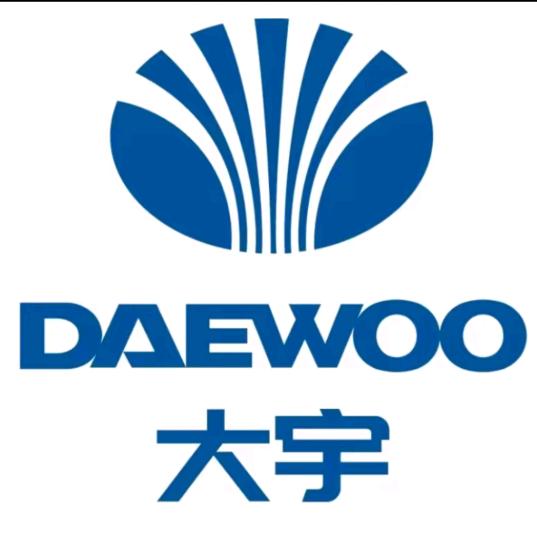 大宇DAEWOO峥泓厨房电器专卖店