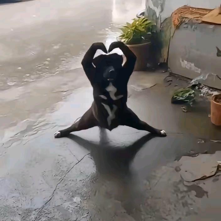 下马敬红尘