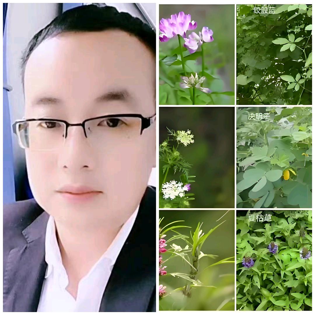 药用植物🌱🌿