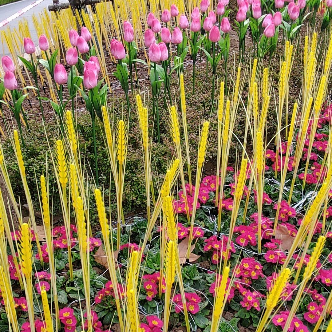 无言的温柔🌸🌷《拒私聊》