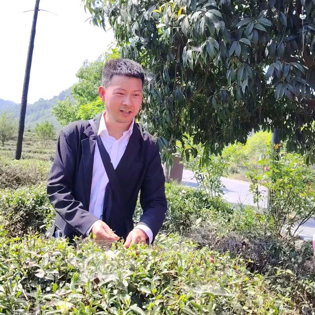 辣手摧花