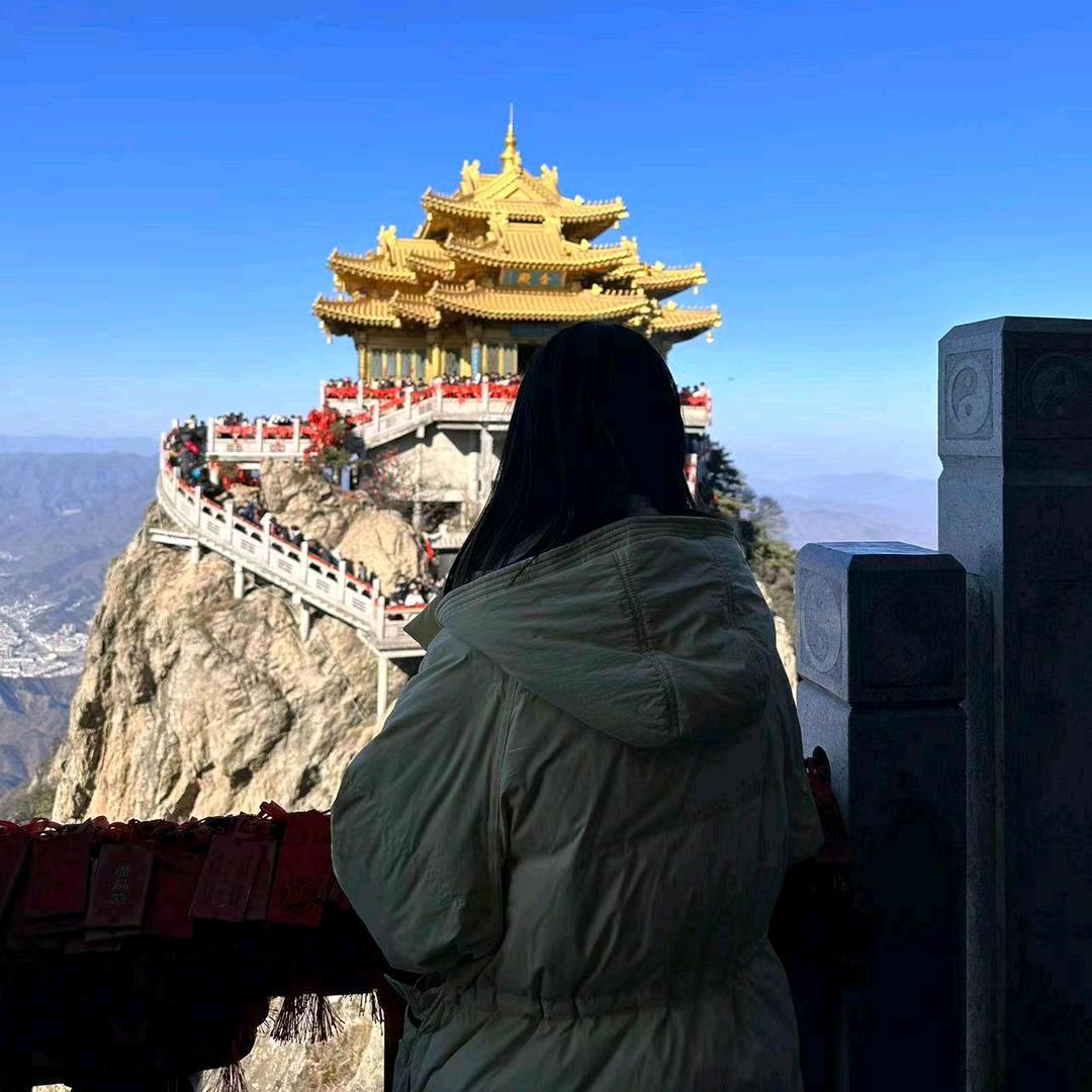 赚钱养柔柔👑