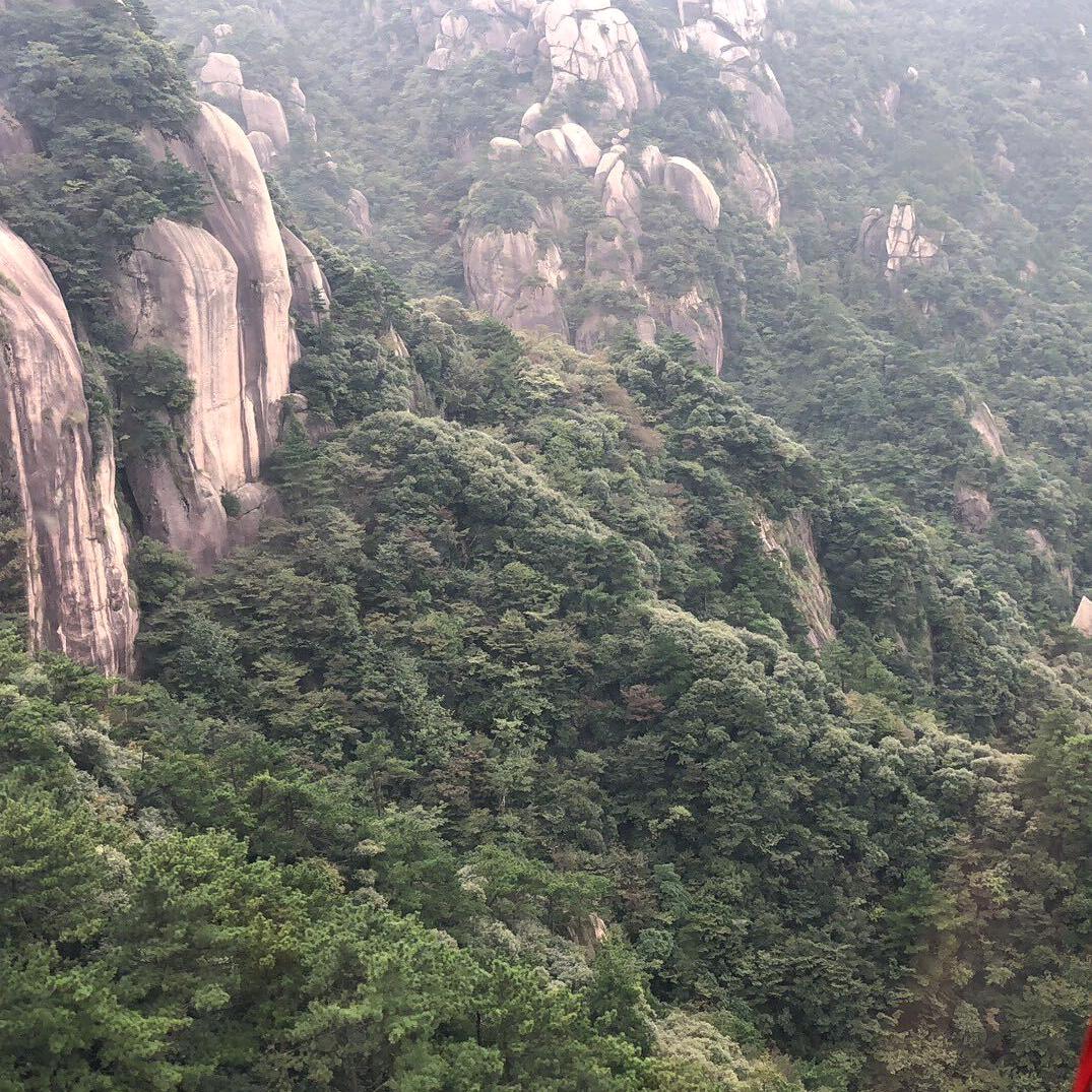 沭阳李家苗木