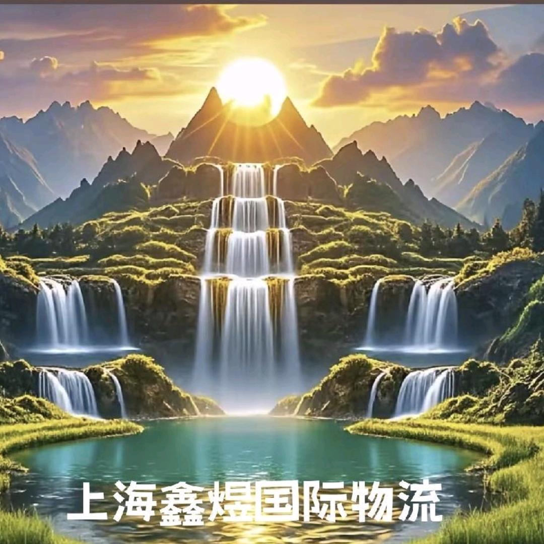 上海集装箱运输订舱（鑫煜xinyu马）
