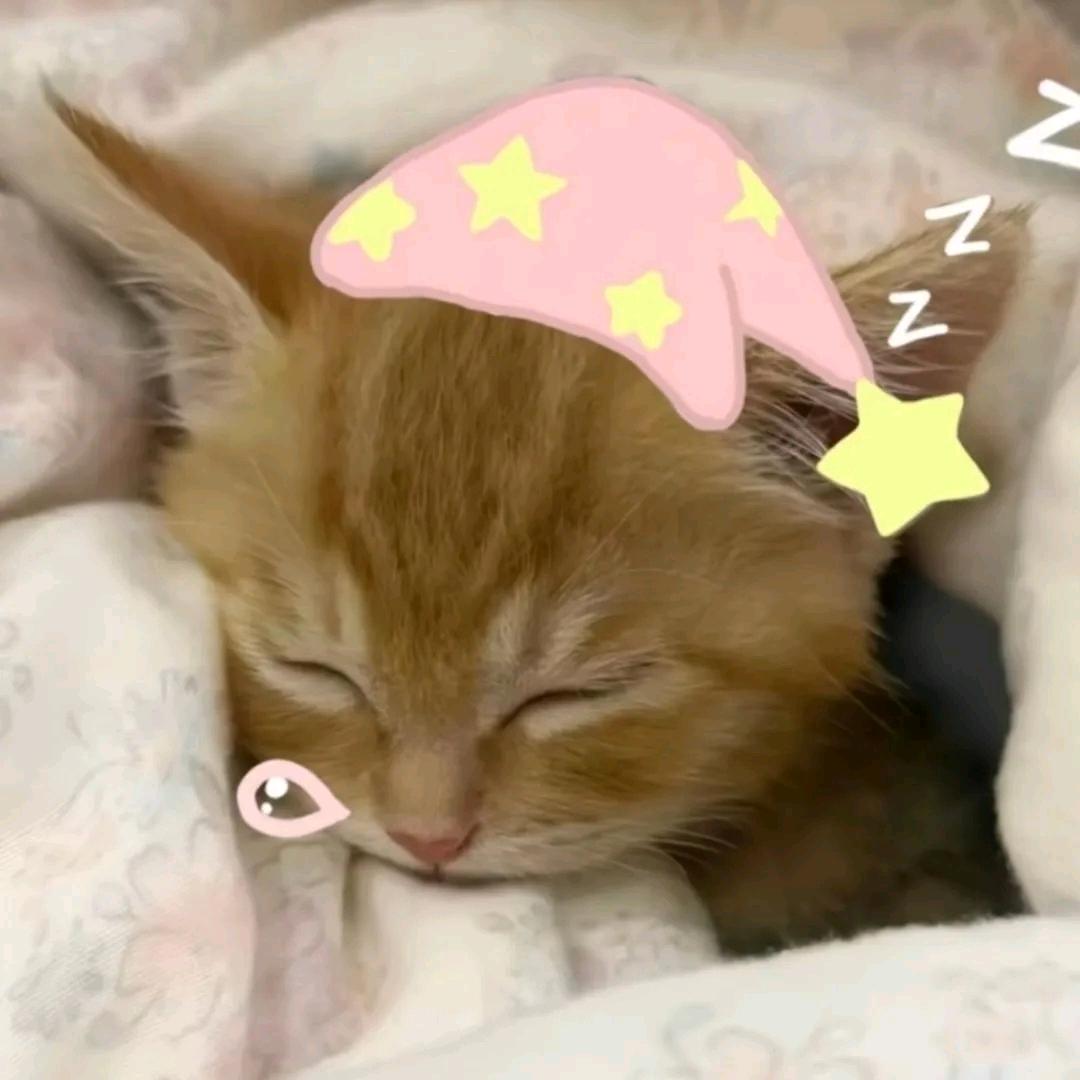 。…。