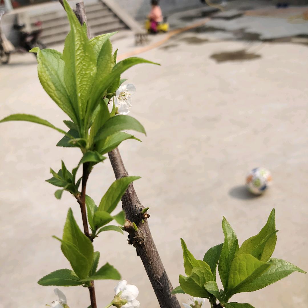 美味快餐