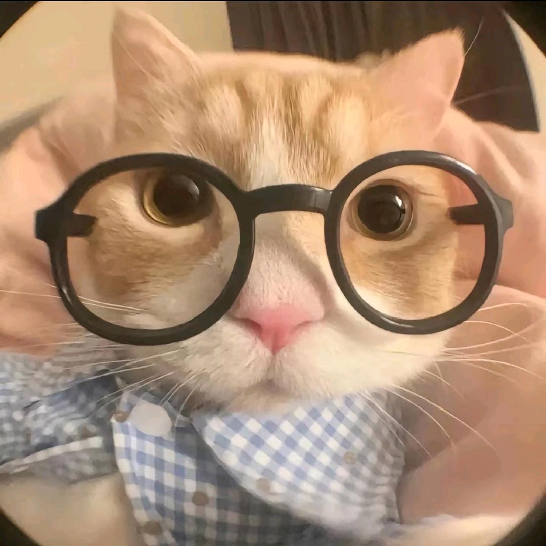 长棍蘸屎戳谁谁死