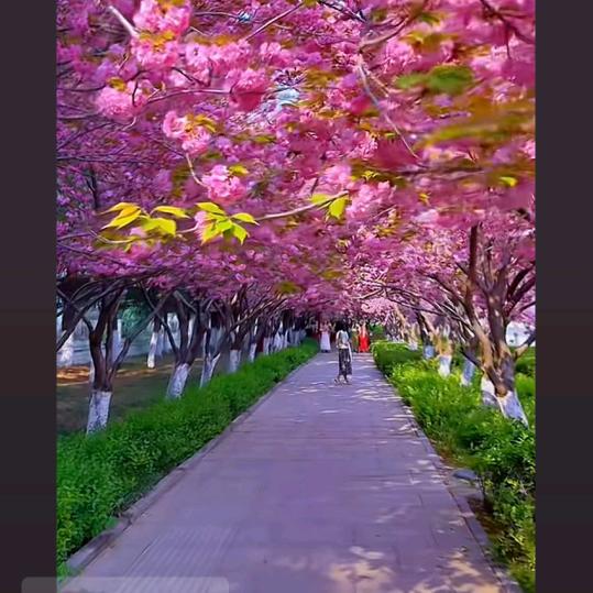 柒零后