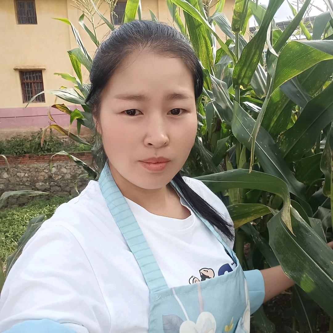 小红妹 (中午12:50首播)