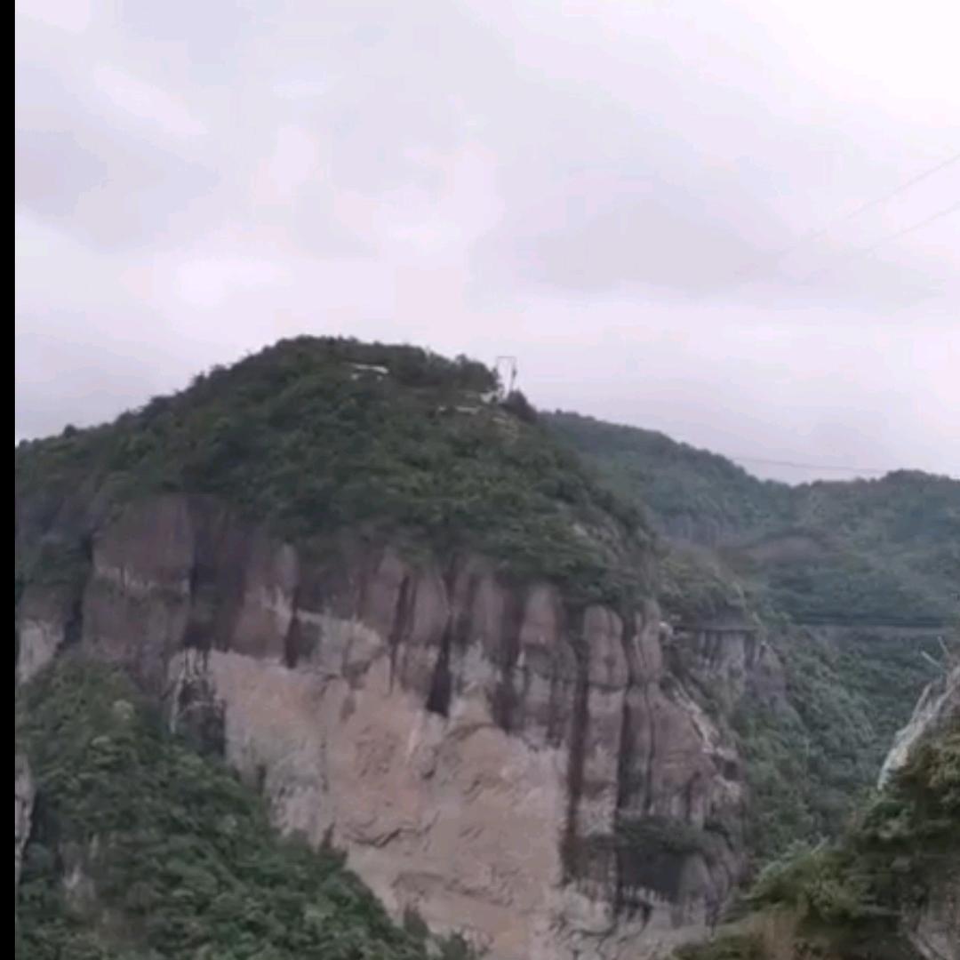 随缘305145484